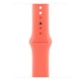Apple Correa Apple Watch Grupo de rock Naranja