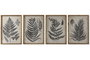 DKD Home Decor Cuadro Decorativo Estilo Cottage Helecho Blanco Gris de Abeto y Cristal 70x50x3 cm (Pack 4 Unidades Surtidas)