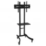 Approx Soporte de Pie Móvil con Ruedas APPST05 para TV 30-70 pulgadas