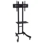 Approx Soporte de Pie con Ruedas APBST05 para TV/Monitor de 30-55 Pulgadas (76-139 cm) - Peso Máx. 40 kg, VESA 600x400, Negro