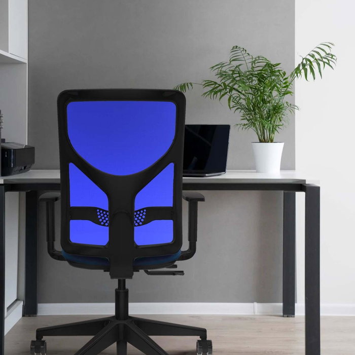 PIQUERAS Y CRESPO Silla de oficina Motilla con mecanismo Sincro/Traslack, Azul claro y Gris PIQUERAS Y CRESPO Silla de oficina Motilla con mecanismo Sincro/Traslack, Azul claro y Gris