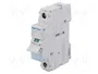HAGER SBN140 Interruptor de aislamiento 1 polo 40A 230VAC