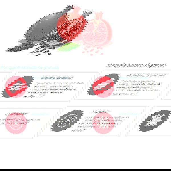 Leti Champú Granada 500ml Hidratante Calmante Crecimiento Cabello