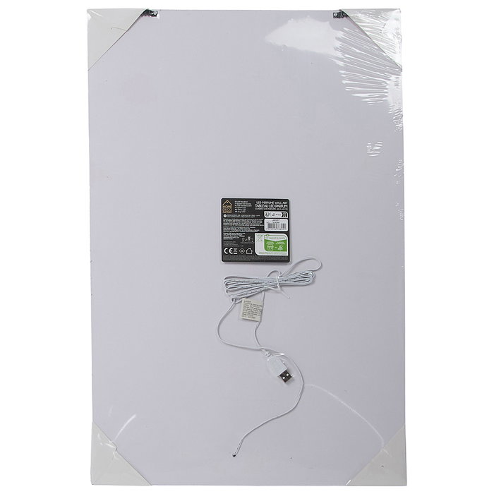 Home Deco Factory Cuadro Neón LED Frasco 40x60 cm Home Deco Factory Cuadro Neón LED Frasco 40x60 cm
