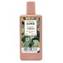 Parfums Saphir Verbena Eau de Toilette 50 ml