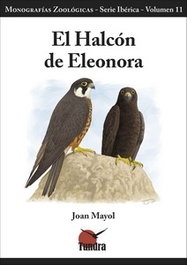 TUNDRA, El halcón de Eleonora, el - Joan Mayol