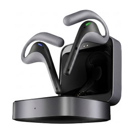 Timekettle TIMEKETTLE W4 PRO