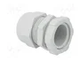 OBO BETTERMANN Sello aislante PG21 V-TEC PG