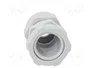 OBO BETTERMANN Sello aislante PG21 V-TEC PG