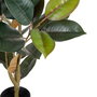 Planta Ficus Verde Oscuro 49 X 45 X 125 cm