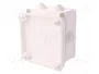 ELEKTRO-PLAST NASIELSK EP-LUX Caja de Conexiones Blanca con Prensaestopas