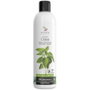 ARMONIA Champú Antigrasa de Ortiga 250ml sin Sulfatos