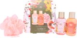 The Kind Edit Co. Spa Botanique Mini Shower Gift Set con Gel de Ducha y Loción Corporal de 100 ml The Kind Edit Co. Spa Botanique Mini Shower Gift Set con Gel de Ducha y Loción Corporal de 100 ml