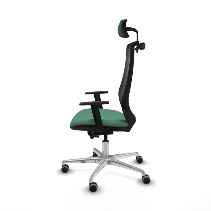 PIQUERAS Y CRESPO Silla de oficina Mardos con mecanismo Sincro/Traslack, Verde esmeralda y Negro PIQUERAS Y CRESPO Silla de oficina Mardos con mecanismo Sincro/Traslack, Verde esmeralda y Negro