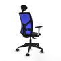 PIQUERAS Y CRESPO Silla de oficina Motilla con mecanismo Sincro, Azul y Negro