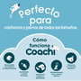 Juguete de adiestramiento Coachi Stick Azul