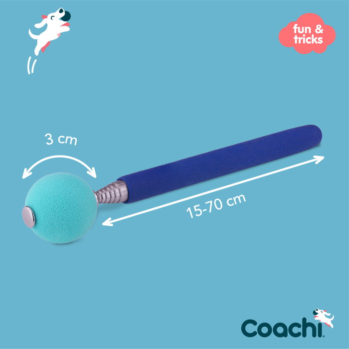 Juguete de adiestramiento Coachi Stick Azul Juguete de adiestramiento Coachi Stick Azul