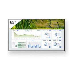 Sony FW-65BZ30L Pantalla de señalización digital LCD de 65" 4K Ultra HD, Android, Wi-Fi, 440 cd/m², 24/7, Negro