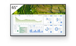 Sony FW-65BZ30L Pantalla de señalización digital LCD de 65" 4K Ultra HD, Android, Wi-Fi, 440 cd/m², 24/7, Negro