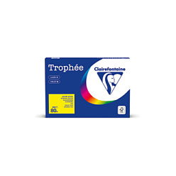 Clairefontaine Kopierpapier Trophée chamois DIN A4 80 g/m² 500 hojas