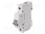 ETI POLAM Interruptor magnetotérmico ETIMAT P10 1P C50 50A 10kA