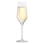 Oberglas Set de 6 Copas de Champagne Passion 25cl