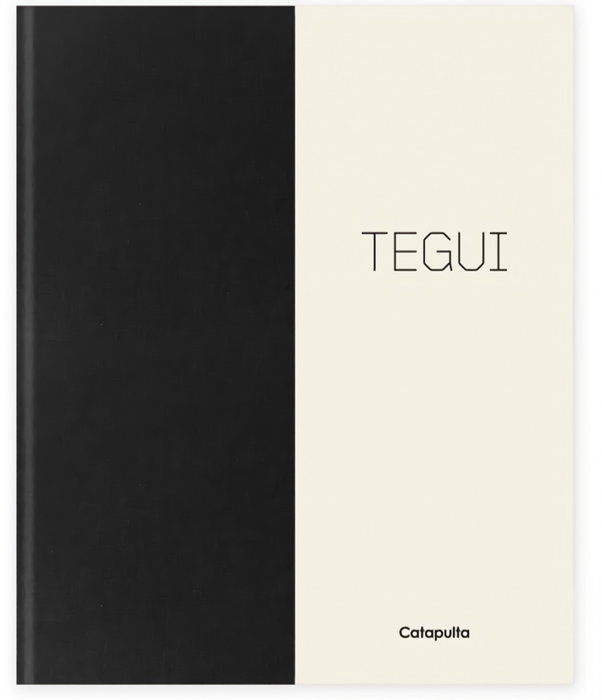 TEGUI - NE, Germán Martitegui - CATAPULTA EDITORES