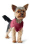 Hunter Dog Pullover Malmö 25cm Burdeos