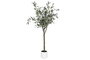 DKD Home Decor Árbol de Olivo Verde 150 cm