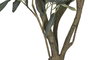 DKD Home Decor Árbol de Olivo Verde 150 cm