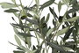 DKD Home Decor Árbol de Olivo Verde 150 cm