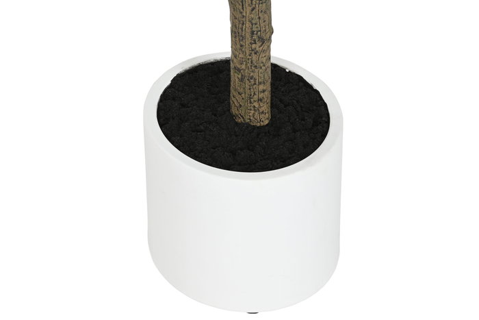 DKD Home Decor Árbol de Olivo Verde 150 cm DKD Home Decor Árbol de Olivo Verde 150 cm