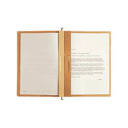 LEITZ Alpha Carpeta Colgante DIN A4 Marrón Natural