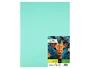 Liderpapel Cartulina Verde 50x65 cm 180g/m2 (25 hojas)