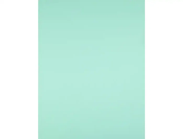 Liderpapel Cartulina Verde 50x65 cm 180g/m2 (25 hojas)