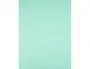 Liderpapel Cartulina Verde 50x65 cm 180g/m2 (25 hojas)