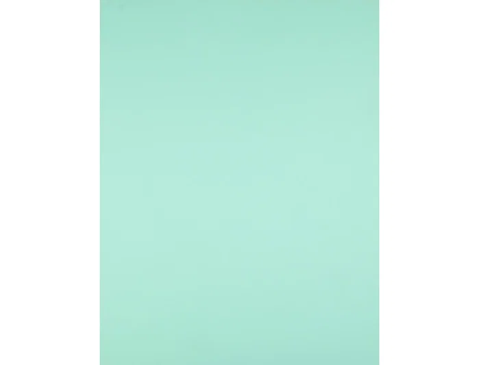 Liderpapel Cartulina 50x65 cm Verde 180g/m2 Paquete de 25 Hojas para Dibujo y Manualidades