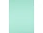 Liderpapel Cartulina 50x65 cm Verde 180g/m2 Paquete de 25 Hojas para Dibujo y Manualidades