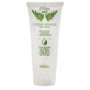 PLANTIS Crema de Manos Oliva Hidratante