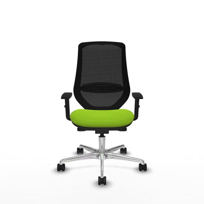 PIQUERAS Y CRESPO Silla de oficina Mardos con mecanismo Sincro/Traslack, Pistacho y Negro PIQUERAS Y CRESPO Silla de oficina Mardos con mecanismo Sincro/Traslack, Pistacho y Negro