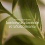 L'Occitane En Provence Verbena Eau de Toilette 100 ml