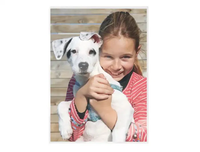 Leitz Bolsa de plastificar DIN A3 80 mc, Caja de 100 Unidades Leitz Bolsa de plastificar DIN A3 80 mc, Caja de 100 Unidades