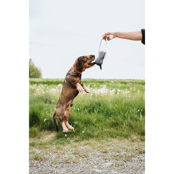 Juguete para perros Hunter Nebraska Marrón Poliéster Vaca