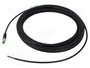 MURRELEKTRONIK Cable para sensores M8 macho recto 10m