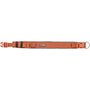 Collar para Perro Trixie Premium Naranja Grafito XS/S 27-35 cm