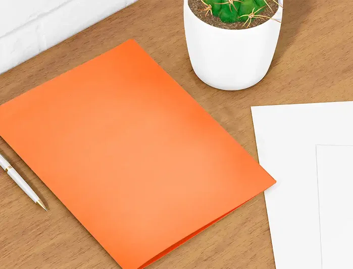 Liderpapel Subcarpeta Din A4 Naranja Intenso 180g/m2