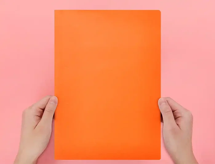 Liderpapel Subcarpeta Din A4 Naranja Intenso 180g/m2
