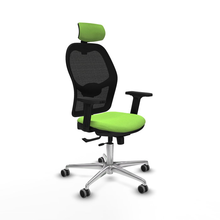 PIQUERAS Y CRESPO Silla de oficina Jorquera con mecanismo Sincro/Traslack, Pistacho y Negro PIQUERAS Y CRESPO Silla de oficina Jorquera con mecanismo Sincro/Traslack, Pistacho y Negro
