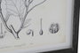 DKD Home Decor Cuadro Botánico Set de 4 Unidades 45x60 cm