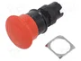 SCHNEIDER ELECTRIC Interruptor de Emergencia Harmony XB6 16mm Rojo
